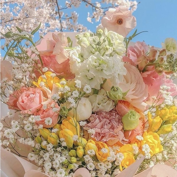 Quick list for live show - Picture 1 of 1